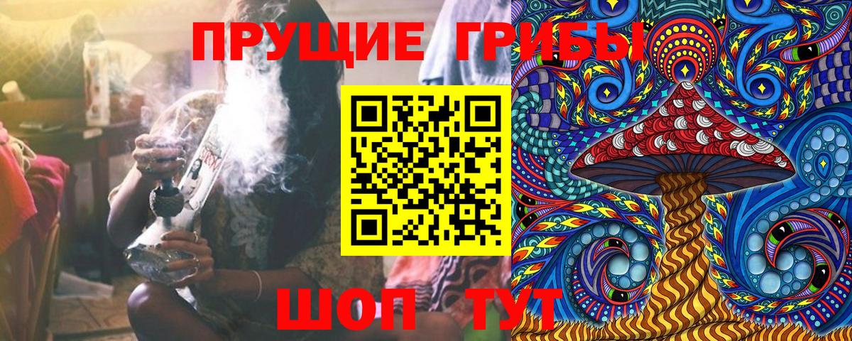 Галлюциногенные грибы Cubensis Россия