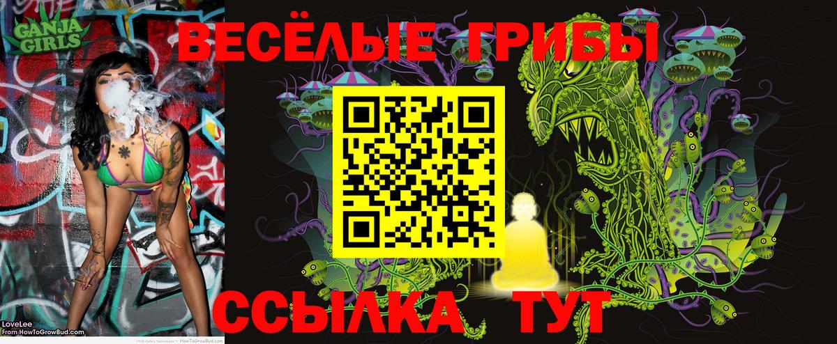 Россия  Галлюциногенные грибы GOLDEN TEACHER  Вход с VPN  Псилоцибиновые грибы мицелий 